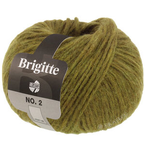 Lana Grossa BRIGITTE NO. 2 | 66-olivgrön