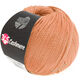 Lana Grossa 365 CASHMERE | 18-persika