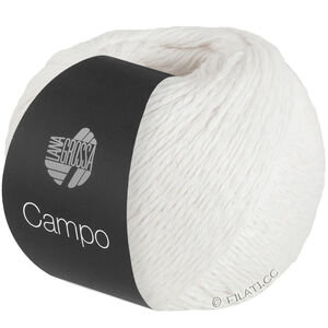 Lana Grossa CAMPO | 01-vit