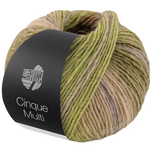Lana Grossa CINQUE MULTI | 26-grågrön/björnbär/syren/rosenträ/senap melerad