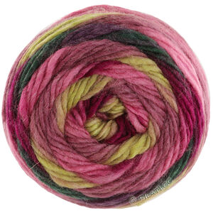 Lana Grossa COLORATO Aktion | 02-bär/ljus oliv/hallon/bordeaux/skogsgrön/björnbär