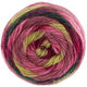 Lana Grossa COLORATO Aktion | 02-bär/ljus oliv/hallon/bordeaux/skogsgrön/björnbär