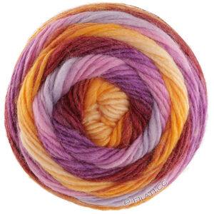Lana Grossa COLORATO Aktion | 06-orange/burgund/violett/rosa/blålila/gul