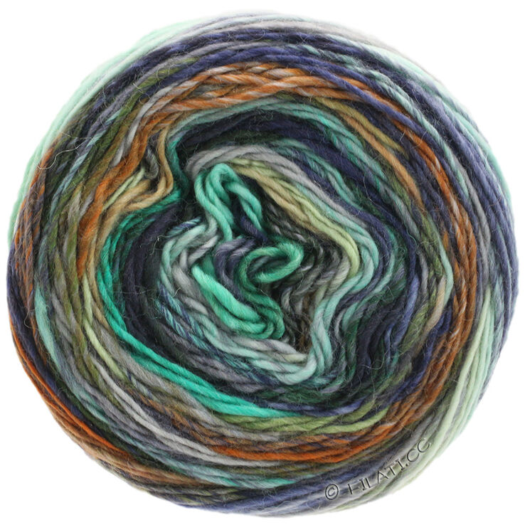 Lana Grossa COLORISSIMO | 01-mint/ljus blå/aubergine/ljus grå/mörk grå/brun