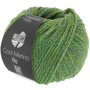 Lana Grossa COOL MERINO Big | 204-grön