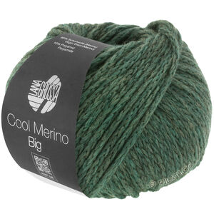 Lana Grossa COOL MERINO Big | 205-mossgrön