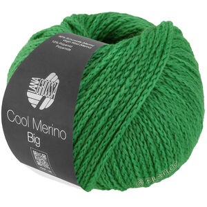 Lana Grossa COOL MERINO Big | 226-vårgrön