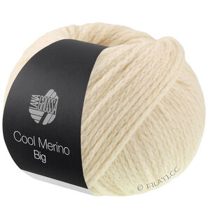 Lana Grossa COOL MERINO Big | 241-mussla