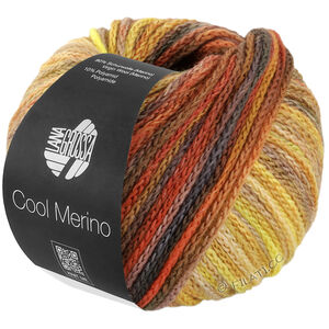 Lana Grossa COOL MERINO Color | 314-kamel/umbra/rost/gul/beige/taupe/nougat