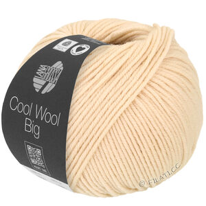 Lana Grossa COOL WOOL Big  Uni/Melange | 1016-mussla