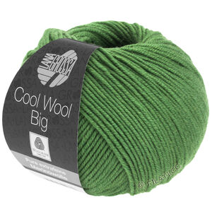 Lana Grossa COOL WOOL Big  Uni/Melange | 0997-bladgrön