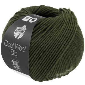 Lana Grossa COOL WOOL Big Mélange (We Care) | 1695-lodengrön melerad