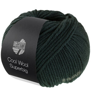 Lana Grossa COOL WOOL Superbig | 29-lodengrön