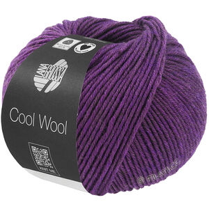Lana Grossa COOL WOOL Mélange (We Care) | 1499-violett melerad