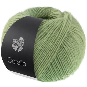 Lana Grossa CORALLO 100g | 09-grågrön/salviagrön/resedagrön