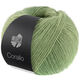 Lana Grossa CORALLO 100g | 09-grågrön/salviagrön/resedagrön