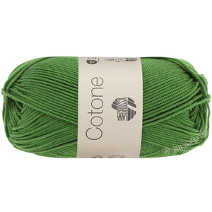Lana Grossa COTONE | 054-ormbunksgrön