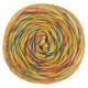 Lana Grossa ECOPUNO Hand-dyed | 58-orange/grågrön/kanariegul/vanilj/karmosinröd