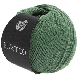 Lana Grossa ELASTICO | 141-resedagrön