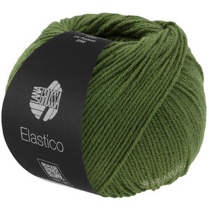 Lana Grossa ELASTICO | 192-bladgrön