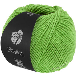 Lana Grossa ELASTICO | 193-vårgrön