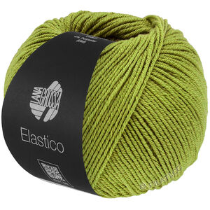 Lana Grossa ELASTICO | 202-pistasch