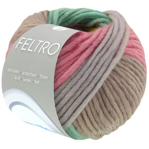 Lana Grossa FELTRO Arco | 446-gråbeige/turkos/gul/ljus grå/rosa