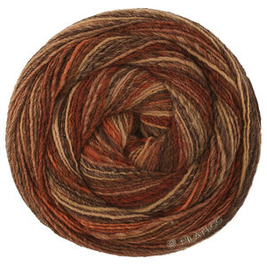 Lana Grossa GOMITOLO DISEGNO | 525-burgund/beige/rost/taupe/mörk brun/gråbrun/svartbrun