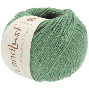 Lana Grossa LANDLUST Alpaka Merino 160 | 432-vassgrön
