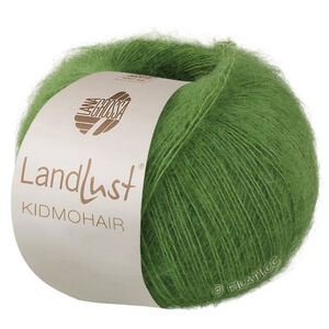 Lana Grossa LANDLUST KIDMOHAIR | 04-grön