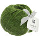 Lana Grossa LANDLUST MERINO 120 | 117-grön