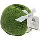 Lana Grossa LANDLUST MERINO 180 | 217-grön