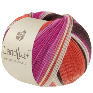 Lana Grossa LANDLUST DIE SOCKENWOLLE | 135-gråbrun/fuchsia/ecru/terrakotta/orkidé randigt