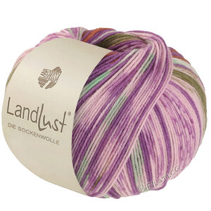 Lana Grossa LANDLUST DIE SOCKENWOLLE | 611-orkidé/brun/majgrön/ecru/rosé/oliv randigt