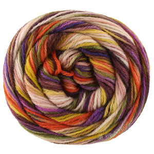 Lana Grossa MEILENWEIT 6-FACH 150g Cascata | 9747-kanelbrun/violett/mörk orange/ljus beige/limett/pistasch/oliv