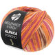 Lana Grossa MEILENWEIT 100g Alpaca Poncho | 2723-orange/fuchsia/kräm/ljung/brun