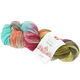 Lana Grossa MEILENWEIT 100g Merino Hand-dyed | 407-turkos/grå/rödviolett/terrakotta/mjuk gul/slam