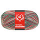Lana Grossa MEILENWEIT 100g Merino Christmas | 6807-vit/mörk grön/mörk brun/orange/ljus grön