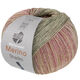 Lana Grossa MEILENWEIT 100g Merino Extrafine Shades | 7232-pastellgrön/grågrön/ljus beige/beige/pink