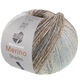 Lana Grossa MEILENWEIT 100g Merino Extrafine Shades | 7234-mint/ljus grå/mörk grå/gråbrun