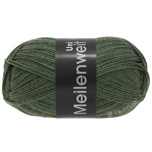 Lana Grossa MEILENWEIT 100g | 1378-lodengrön