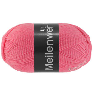 Lana Grossa MEILENWEIT 100g | 1395-hallon