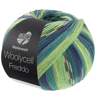 Lana Grossa MEILENWEIT 100g Woolycell Freddo