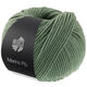 Lana Grossa MERINO PIÙ | 04-oleandergrön