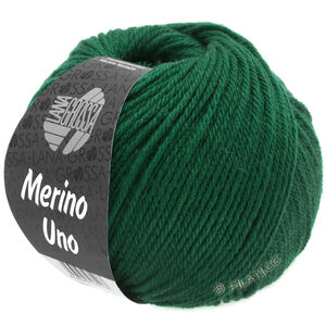Lana Grossa MERINO UNO | 22-flaskgrön