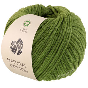 Lana Grossa NATURAL COTTON (GOTS) | 03-grön