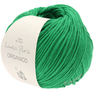 Lana Grossa ORGANICO (Linea Pura) | 129-grön