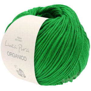 Lana Grossa ORGANICO (Linea Pura) | 163-gräsgrön