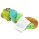 Lana Grossa PIMA FINE Hand-dyed | 703-Ranbir