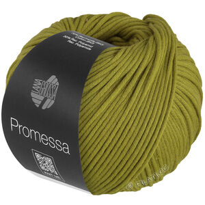 Lana Grossa PROMESSA | 10-pistasch